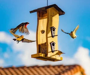 Ways To Enhance Your Front Entrance: Accessories; A bird house or bird feeder