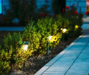 Ways To Enhance Your Front Entrance: Illuminate The Pathway; A nicely lit front entrance walkway