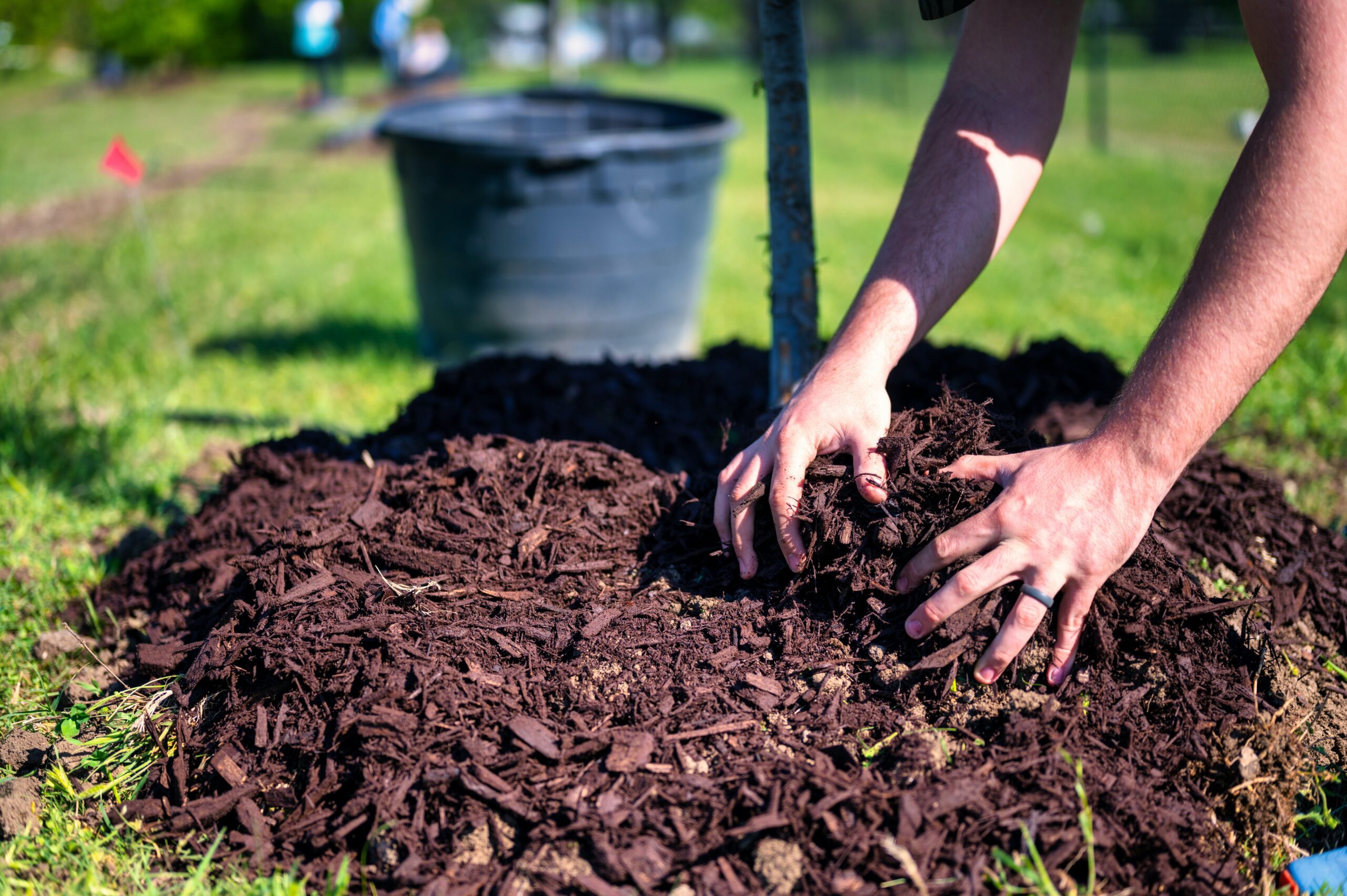 Enhance Your Front Entrance: Prune and Mulch