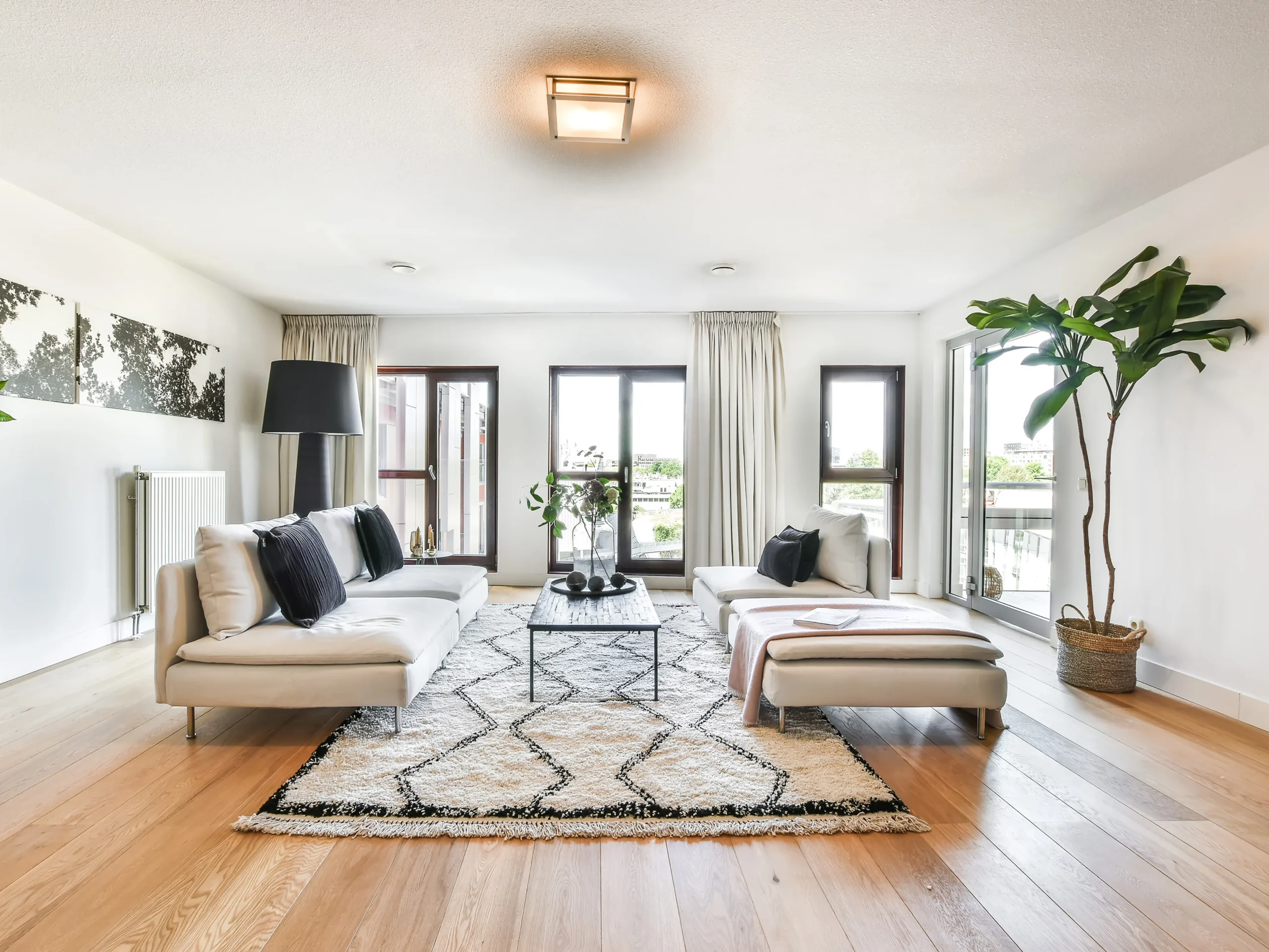 open and bright living room with plants and minimalist decor