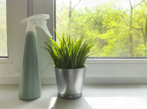 Indoor plant and cleaning bottle on window sill 