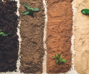 Tips On What To Plant In Early Spring- Soil Prep Garden Soil