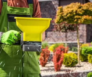 How To Fertilize Your Lawn In 5 Steps- Apply The Fertilizer