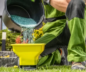 How To Fertilize Your Lawn In 5 Steps- Begin The Fertilizing Cycle Again