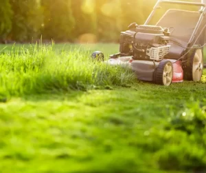 How To Fertilize Your Lawn In 5 Steps- Prepare The Lawn For Fertilizing