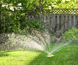 How To Fertilize Your Lawn In 5 Steps- Water Your Lawn
