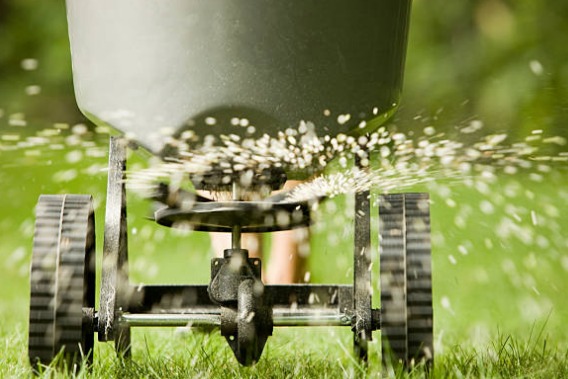 How To Fertilize Your Lawn In 5 Steps