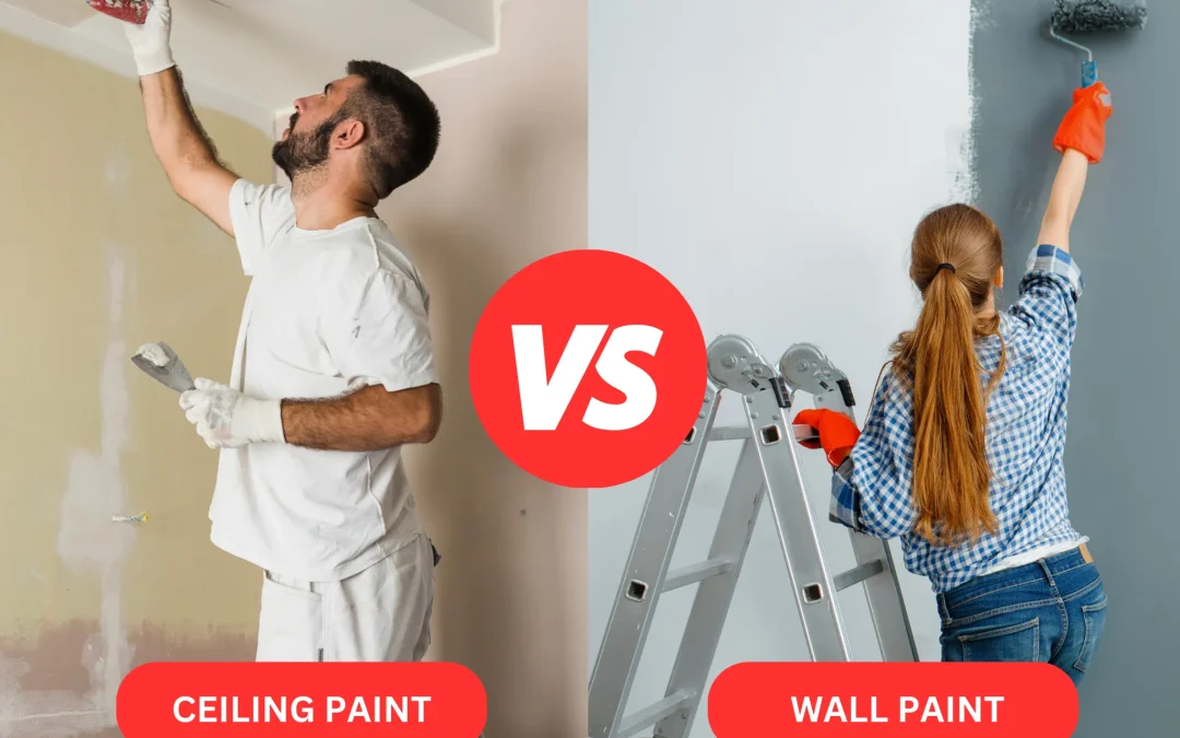 The Difference in Ceiling vs Wall Paint. The cover page where one side is a man painting the ceiling while the other side is a woman painting her wall.