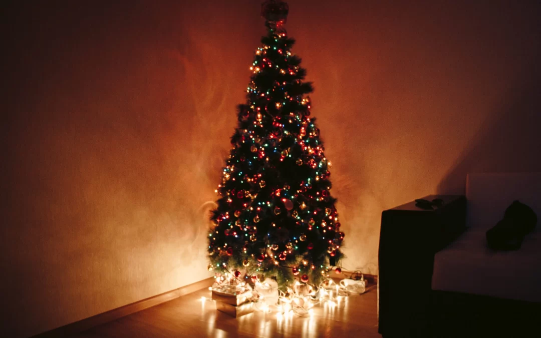 What to do with a live christmas tree - christmas tree lit up in living room area