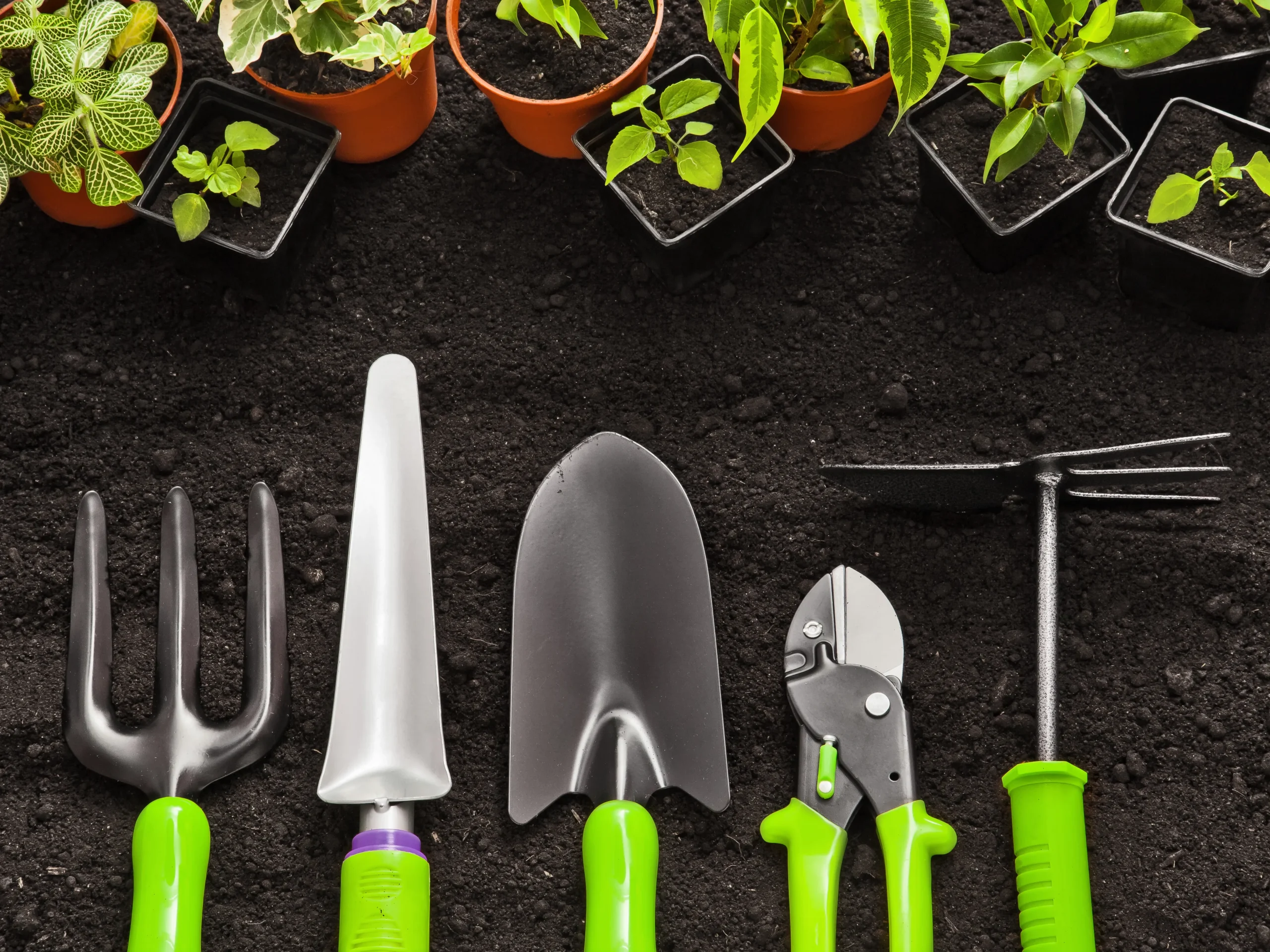 gardening tools you need to start a garden