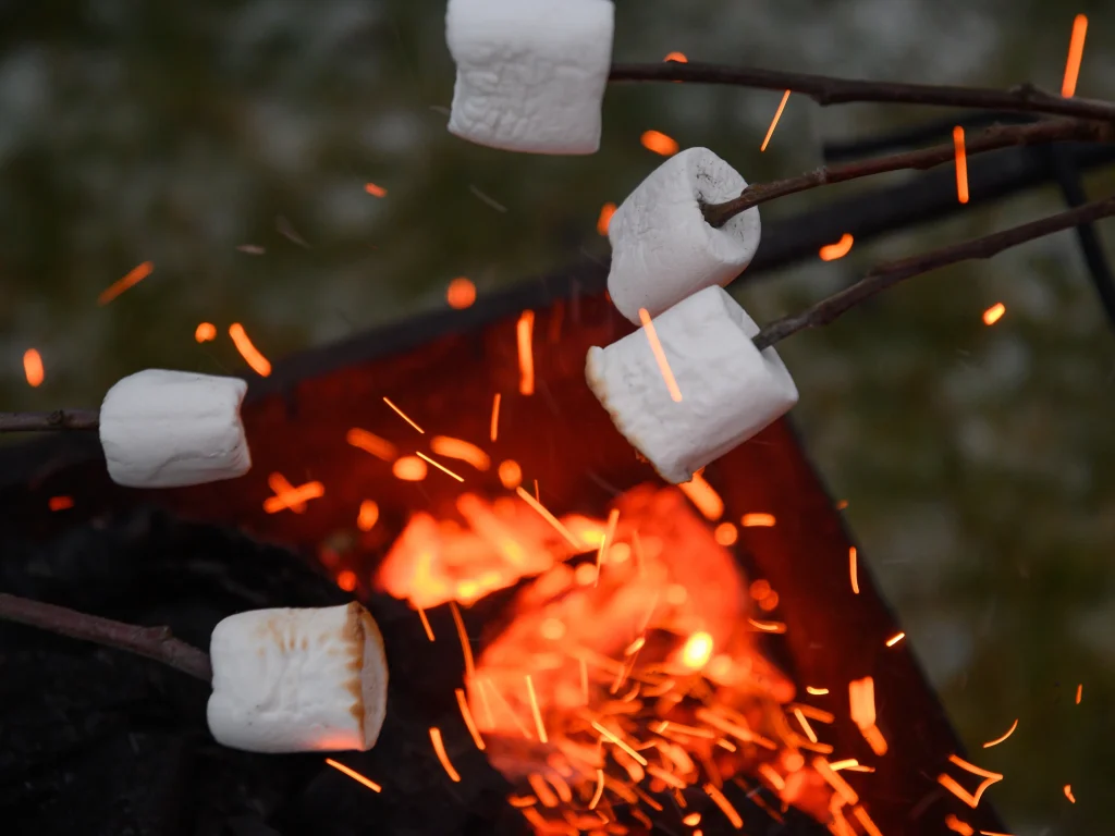 Tips For How To Host A Bonfire | Johnson's Ace Hardware