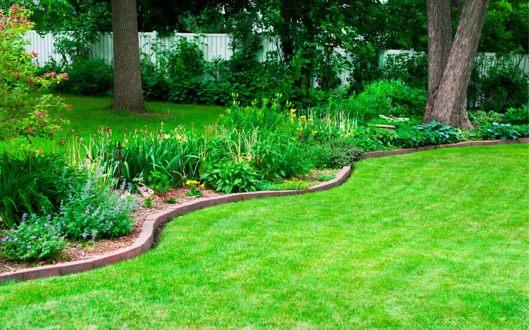 Pittsburgh Spring Lawn Care Tips - healthy spring lawn