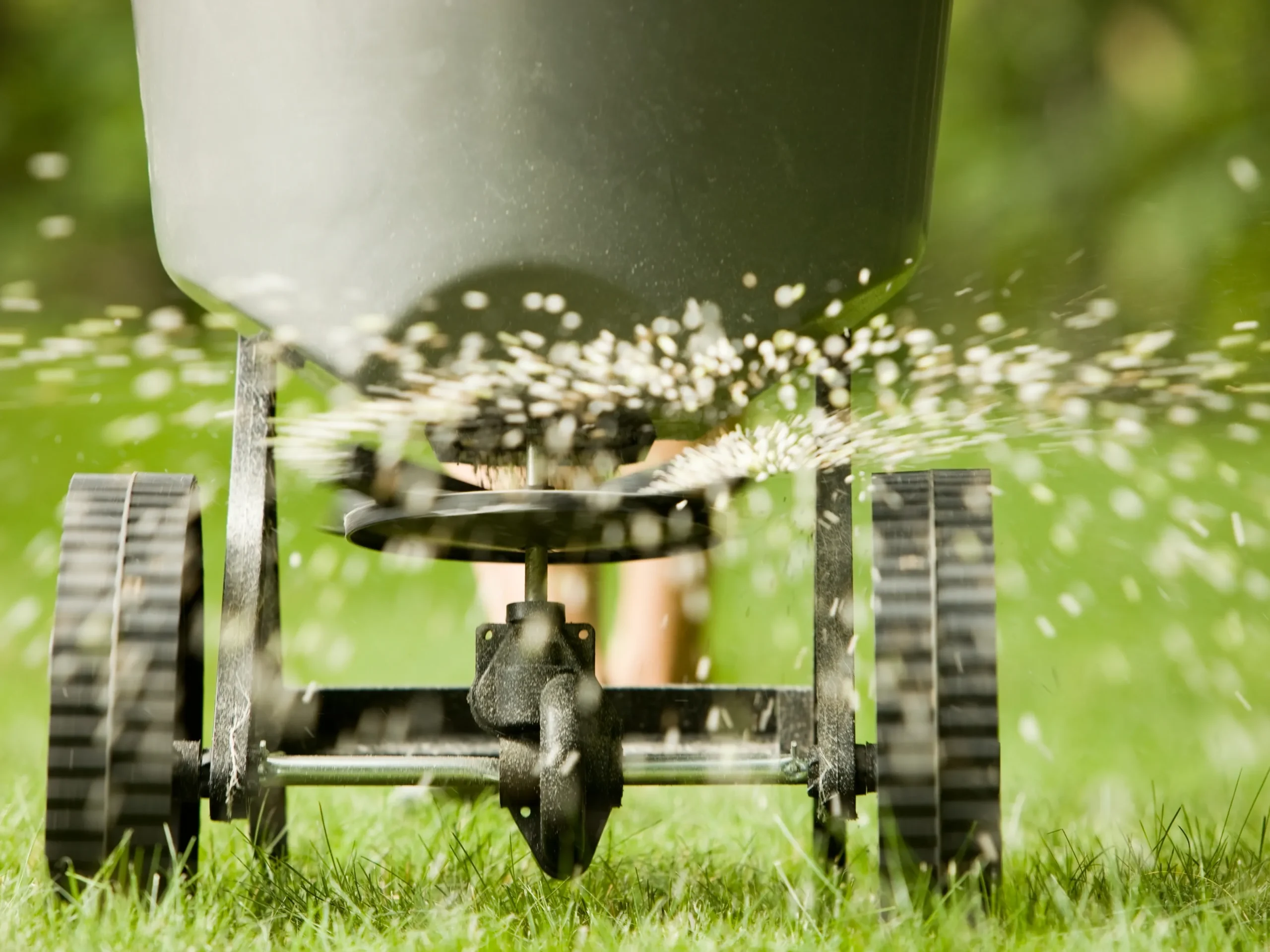 fertilizing grass for spring lawn care tips
