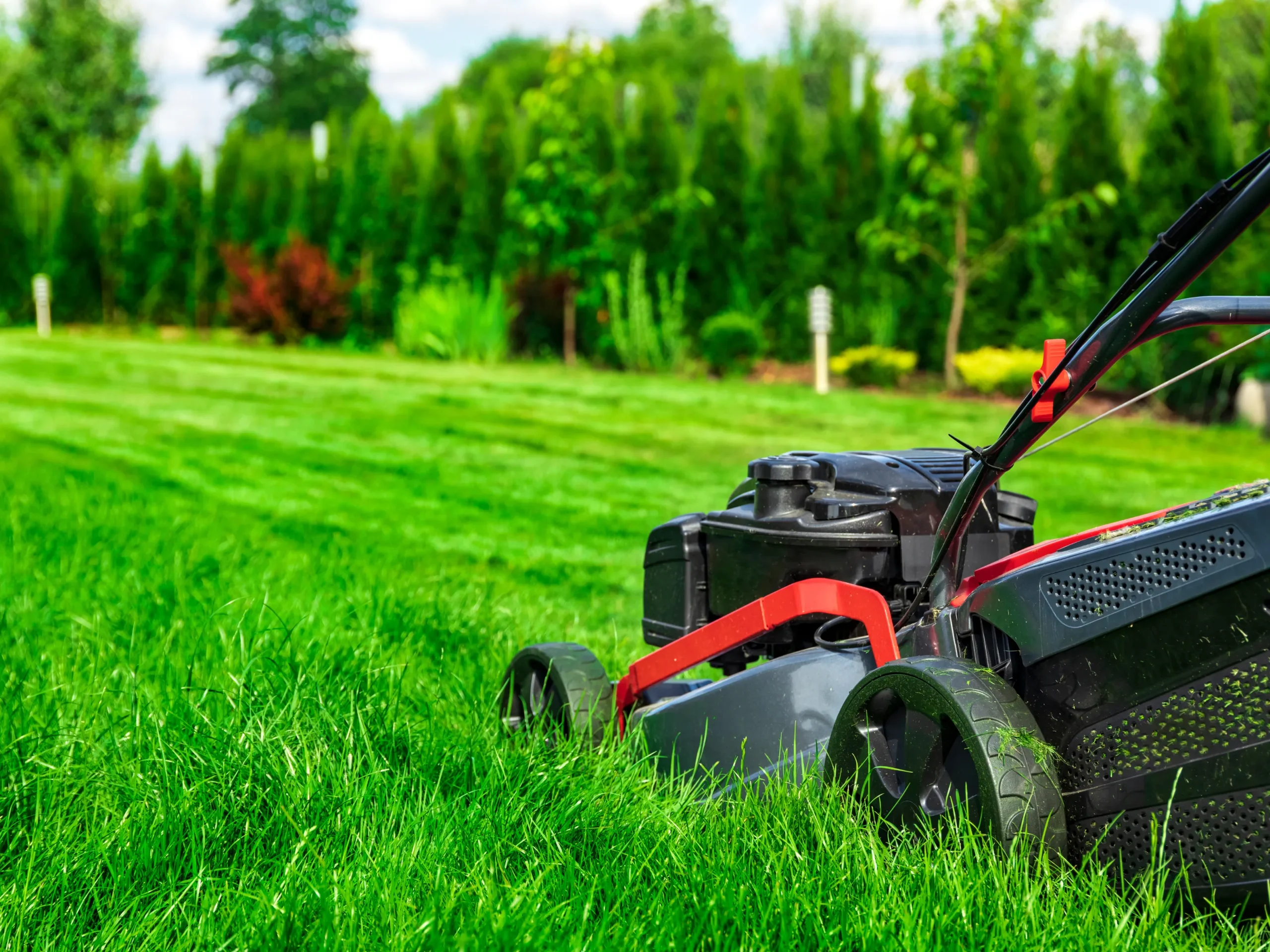 push mower on a healthy spring lawn