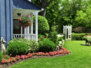 a bug free yard