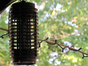 bug zapper