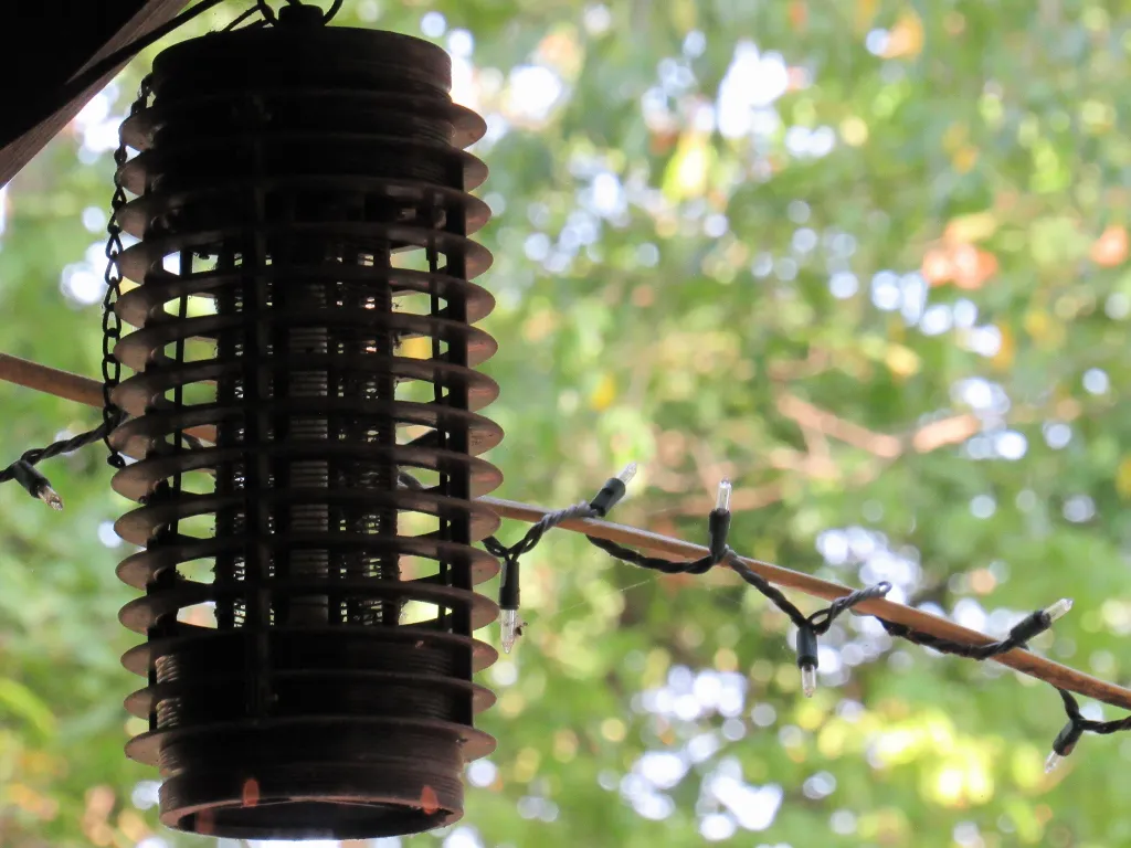 bug zapper, how to keep bugs off your patio