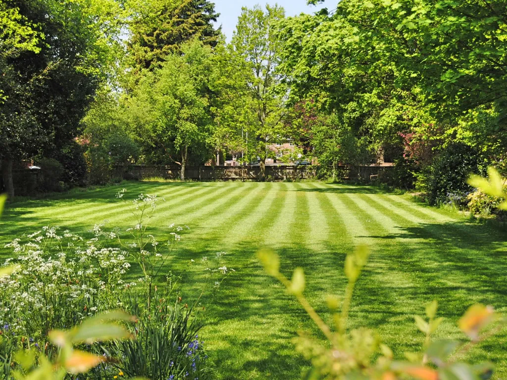 lush spring lawn