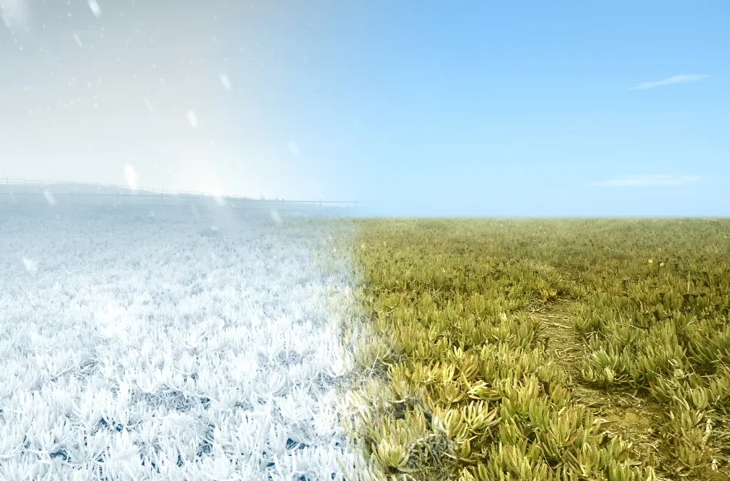 Pittsburgh Winter Lawn Care: Keep Your Grass Healthy All Season Long