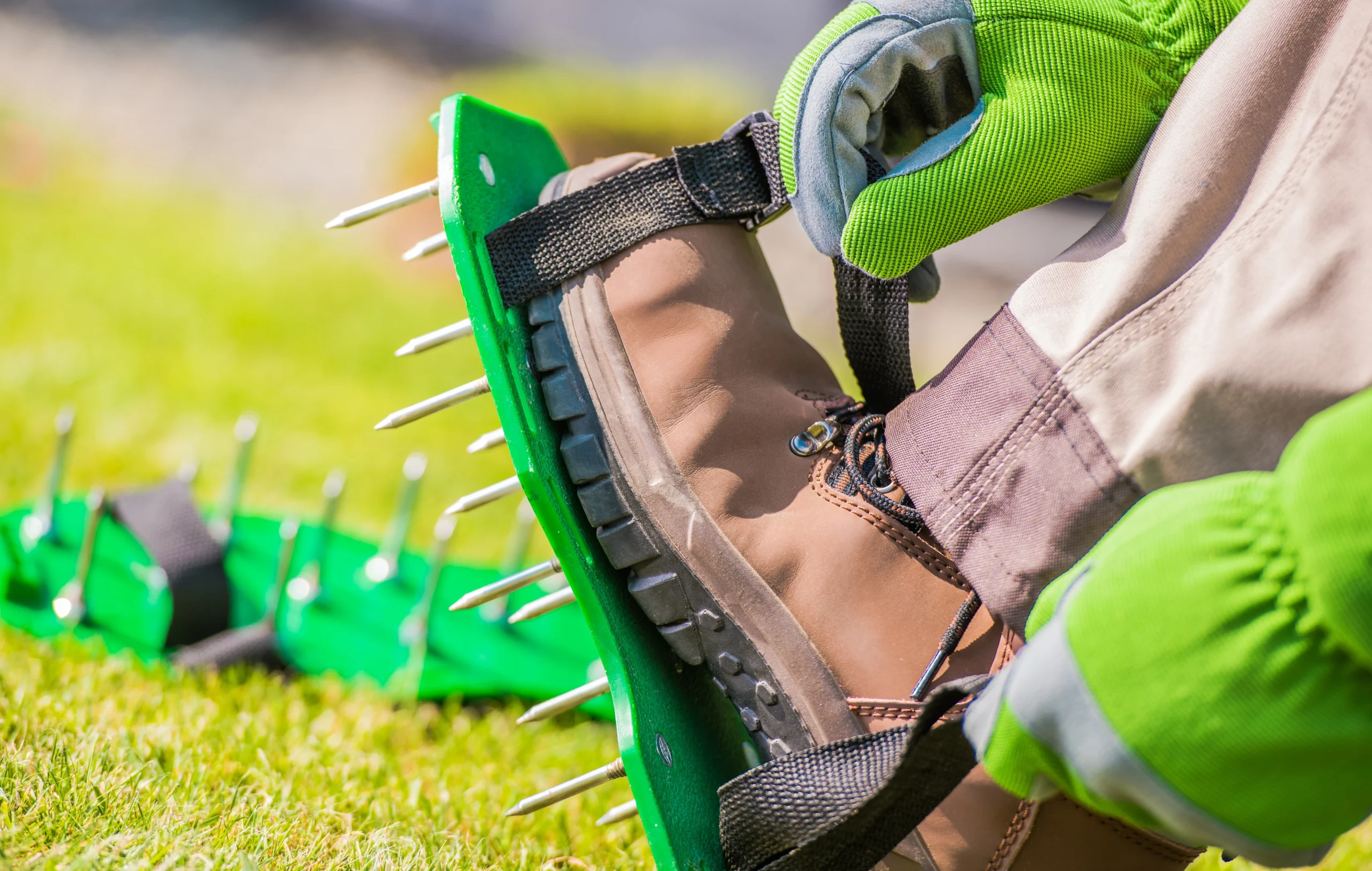 fall aeration, gardener attaching aeration shoes