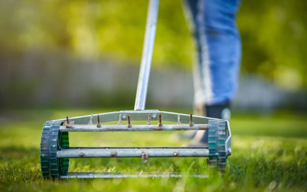 Fall Aeration and Overseeding Tips for Your Lawn