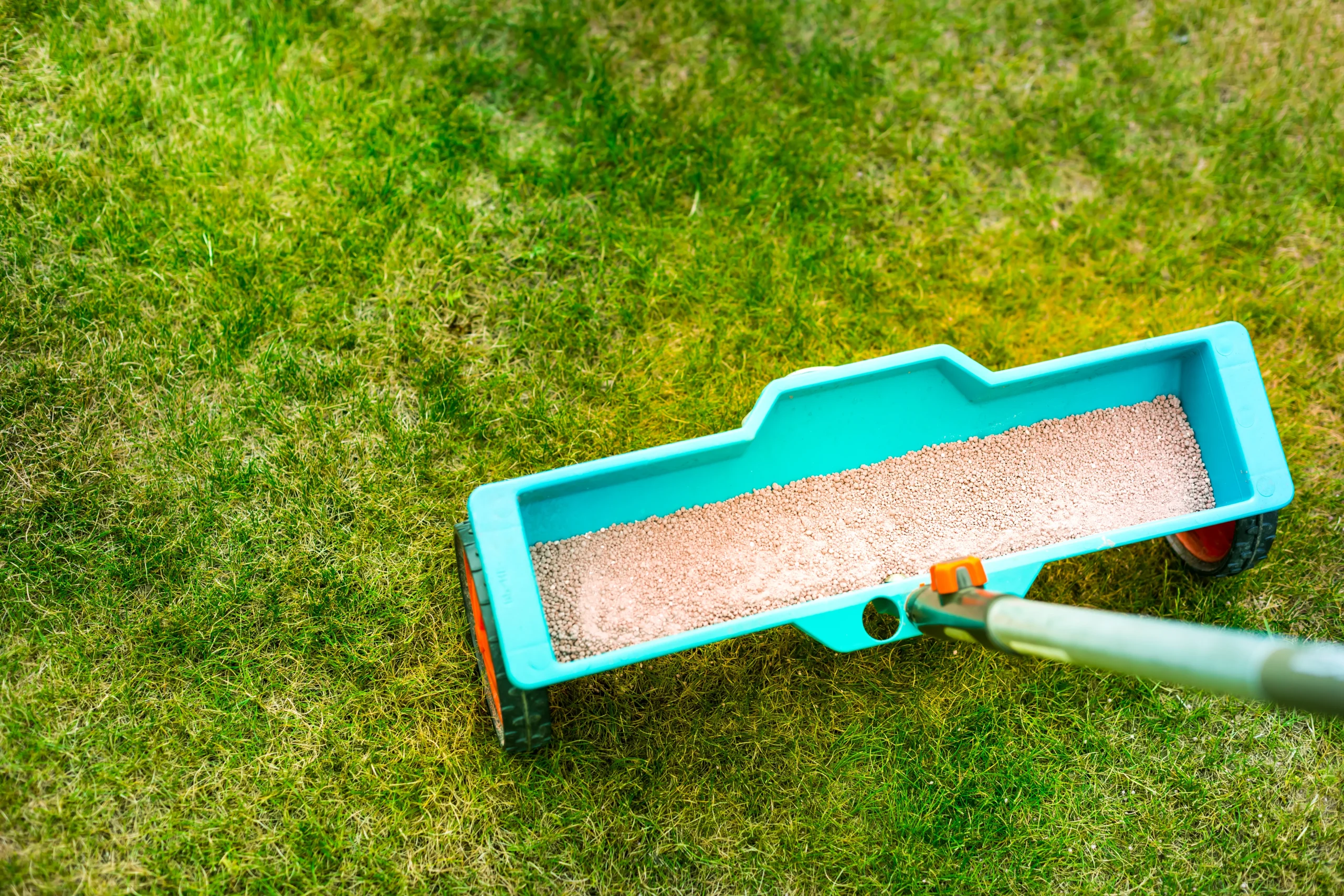 spreading grass seed, fall aeration