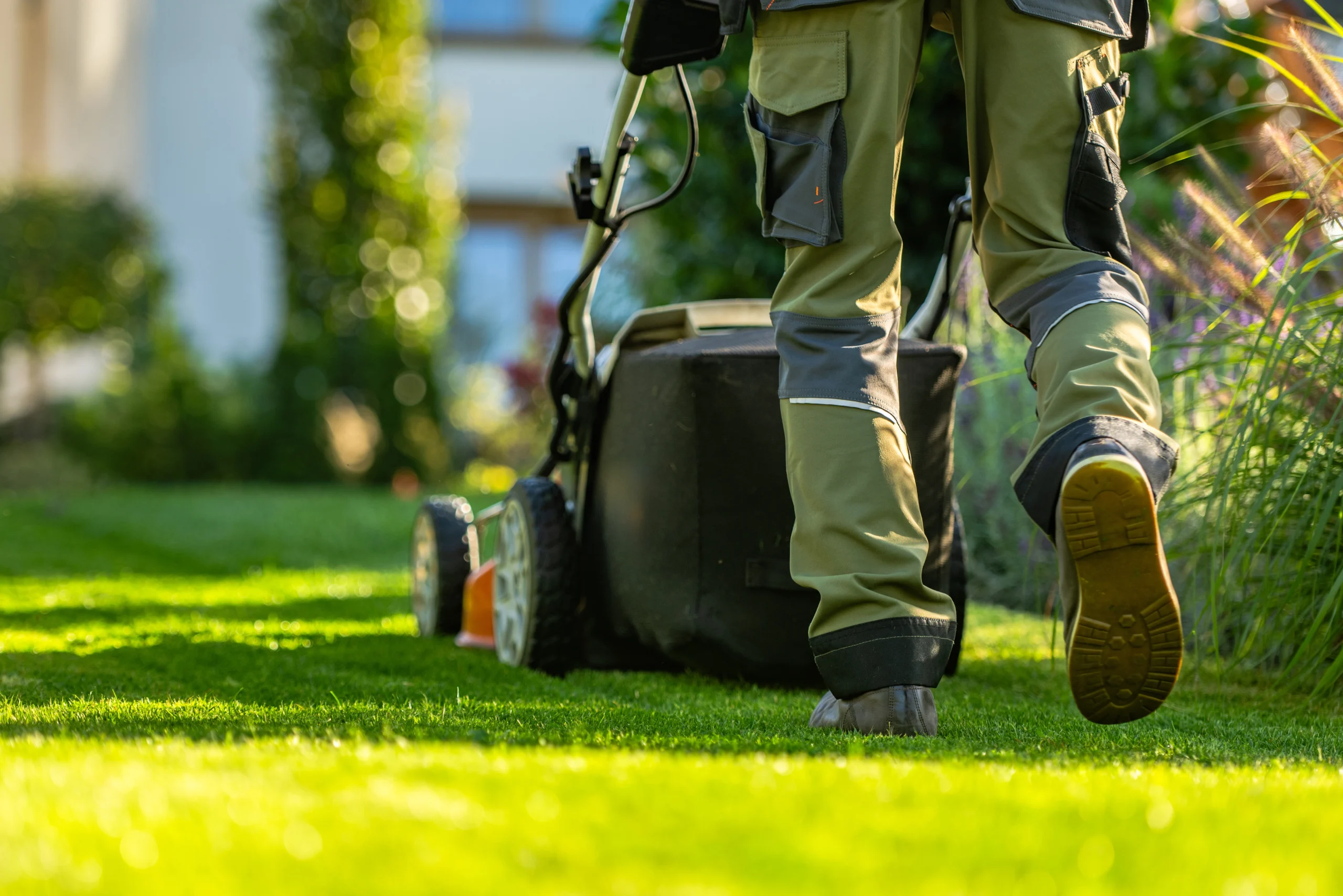 mowing the grass, green grass